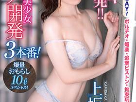 上坂めい(上坂芽衣,Kamisaka-Mei)作品IPIT-024介绍及封面预览