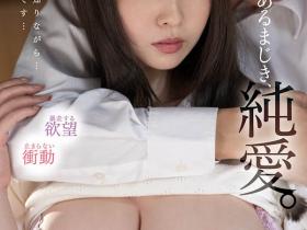 梦乃あいか(梦乃爱华,Yumeno-aika)作品SSIS-301介绍及封面预览
