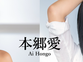 本乡爱(Hongo-Ai)作品FSDSS-395介绍及封面预览