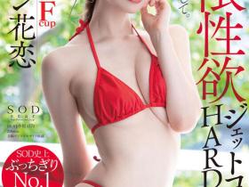 Lauren Karen(ローレン花恋)作品STARS-457介绍及封面预览