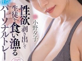 小野夕子作品FSDSS-391介绍及封面预览