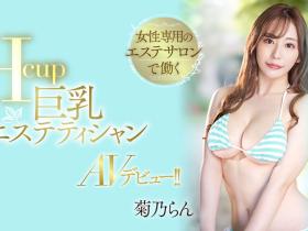 菊乃らん(菊乃兰,Kikuno-Ran)出道作品PPPE-102介绍及封面预览