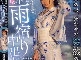 根尾あかり(根尾明里)作品HND-876介绍及封面预览