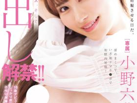 小野六花(Ono-Rikka)作品MIDV-632介绍及封面预览
