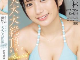 北岡果林(北冈果林,Kitaoka-Karin)作品IPZZ-291介绍及封面预览