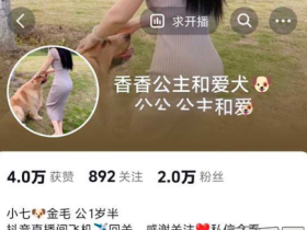 小姐姐给科普金毛注意事项第二弹 女主原来是抖音香香公主 每天都在和金毛上演...