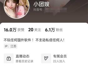 微博30万粉丝网红小团嫂 从足交到模拟啪啪福利