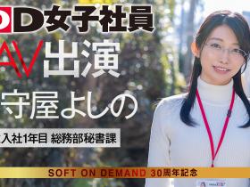 (SDJS-307)封底公布!原来最强女子社员的裸体是这样!