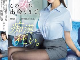 SONE-760 退休前的放纵!初老上班族终于冻袂条在电车里狂射美腿OL楓ふうあ(枫富爱)