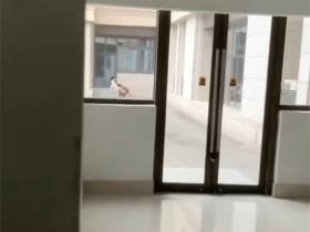 江苏某师范大学文学院 狗男女光天化日上演赤壁之战 男生将头埋入女友胯下舔