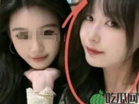 胖猫事件后，魔幻又恶臭的互联网现状