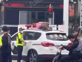 女子无故拦车还坐在警车车顶