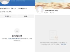 曾换‘梦奇’头像为胖猫发声,痞幼删作品改回头像,流量已经到手