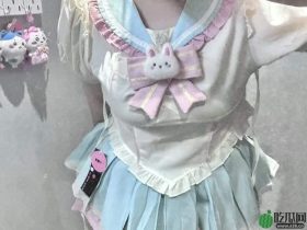 微胖女孩乌鸦坐飞机（震地姐），是什么梗？