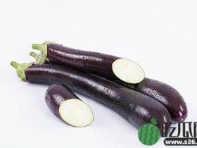 护垫和卫生巾的区别图片 你真的能分清护垫和卫生巾吗?