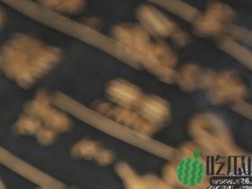 验孕棒什么时候测最准?测孕纸多久可以测出来!