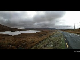 广告语征集,广告语征集码头网