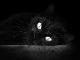 幻想三国志,幻想三国志4