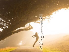 中民保险网,中民保险网安联境外旅游保险