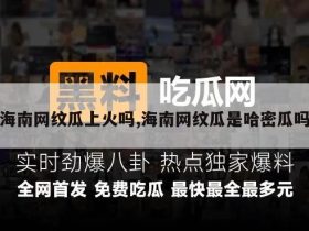 海南网纹瓜上火吗,海南网纹瓜是哈密瓜吗