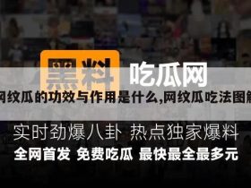 网纹瓜的功效与作用是什么,网纹瓜吃法图解