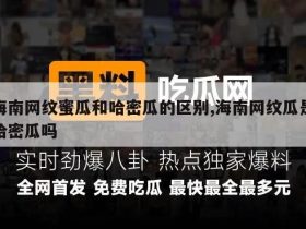 海南网纹蜜瓜和哈密瓜的区别,海南网纹瓜是哈密瓜吗
