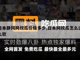 日本静冈网纹瓜价格多少,日本网纹瓜怎么这么软