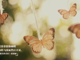 七龙珠布罗利,七龙珠布罗利剧场版有哪些