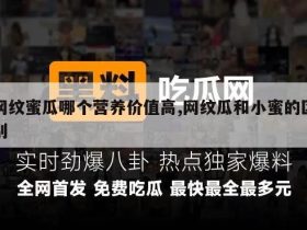 网纹蜜瓜哪个营养价值高,网纹瓜和小蜜的区别