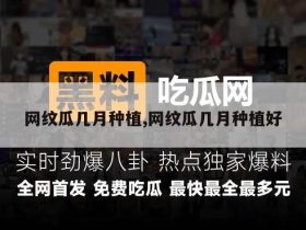 网纹瓜几月种植,网纹瓜几月种植好