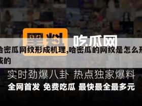 哈密瓜网纹形成机理,哈密瓜的网纹是怎么形成的