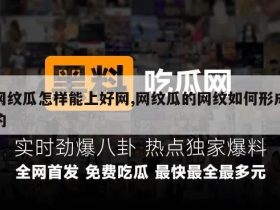 网纹瓜怎样能上好网,网纹瓜的网纹如何形成的