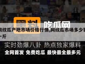网纹瓜产地市场价格行情,网纹瓜市场多少钱一斤