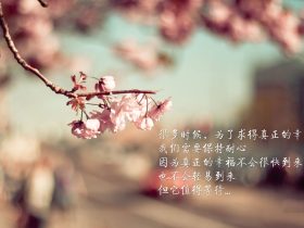 spc是什么意思,sop是什么意思