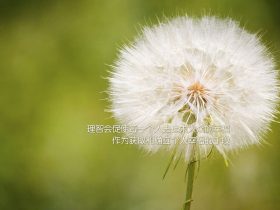 国产色妞妞在线视频免费播放