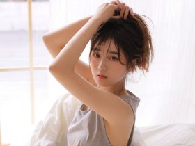司马昭之心,司马昭之心是什么意思