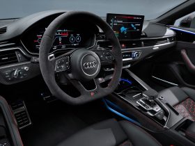 穿成校草的怂软娇花,穿成校草的软萌娇花