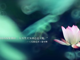 人性短片30分钟小视频