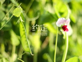 白天的客厅乱h,白天当客厅 晚上当卧室