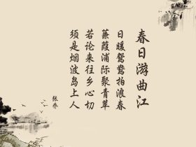 日本丰满乳乳液,日本lachouchou丰胸膏