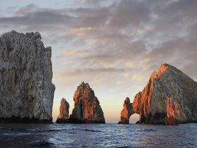 兵团人事考试中心,兵团人力资源考试中心