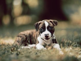 北京路步行街,北京路步行街和上下九步行街哪个好玩
