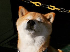 桃李满天下,桃李满天的后面一句是什么