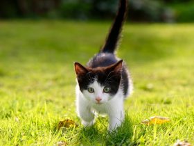 哈昂再快一点嘛有点疼