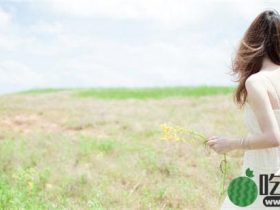 香蕉荔枝丝瓜黄瓜秋葵向日葵最新版免费下载