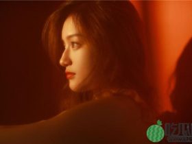 天麻传媒有限公司介绍,揭秘天麻传媒的运营模式呈现无限最新视频资源,网友:拥有更多新鲜体验