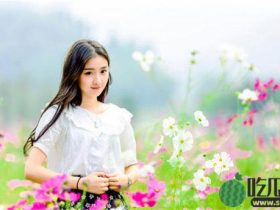 花蝴蝶免费观看完整版内置超多深夜黑料?网友表示:都是精品!