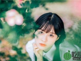 小野猫传媒m3u8入口mogu看视频不会出现任何的弹窗干扰,网友:十分纯净的平台