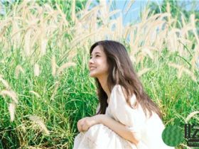 草莓视频app在线无限看丝瓜ios免费版:所有的视频资源都是及时更新免费看