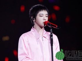 华晨宇工作室庞麦郎陷版权纠纷？